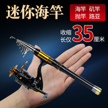 狼王乐钓鱼竿迷你小海竿超短海杆小抛竿甩竿全套便携收缩路亚 小海竿1.5米+狼王乐钓12轴5000金属轮+礼品