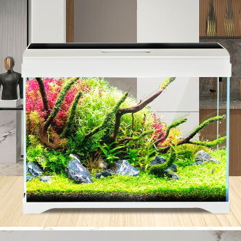 森森 超白玻璃一體小魚缸AT-350B款自循環生態魚缸 桌麵觀賞性水族箱
