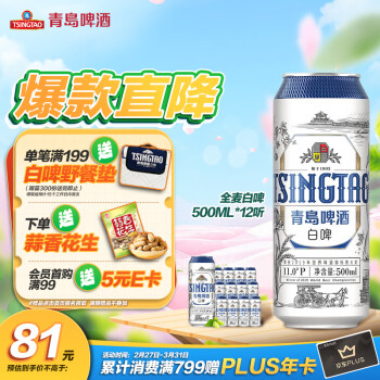 青岛啤酒（TsingTao）精酿白啤 浓郁麦香全麦酿造500ml*12听 整箱装  春日出游