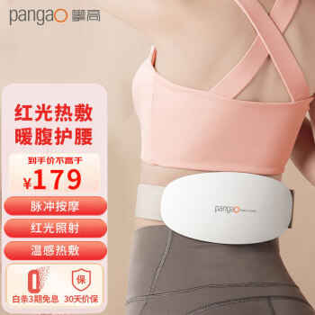 攀高（PANGAO）腰部按摩器PG-2643腰腹部按摩仪红光热敷护腰低频脉冲家用理疗仪【母亲节礼物】