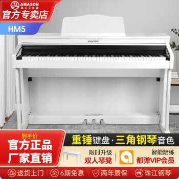 艾茉森珠江HM5电钢琴88键重锤立式儿童成人初学专业考级演奏数码钢琴 HM5白色（2024新品）