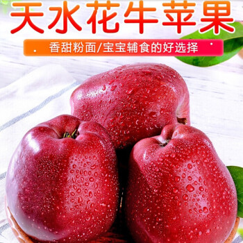 鲜乐季甘肃天水潘苹果/蛇果 精选大果新鲜水果 3斤