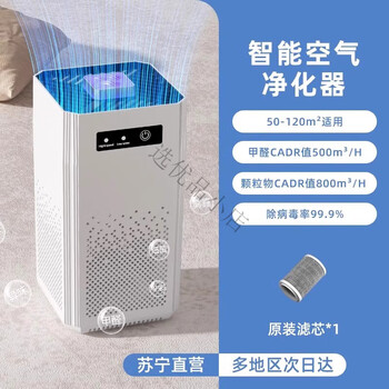 苏宁宜品空气净化器家用除甲醛室内宠物猫狗毛小型吸烟机除味负离子G2971 【家庭超值款】除甲醛除甲醛宠物除味低噪不扰眠