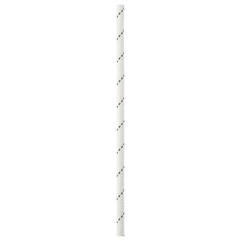 攀索（PETZL）新款户外登山绳 攀岩安全绳 高空作业绳 8mm Rope Segment White 8mm