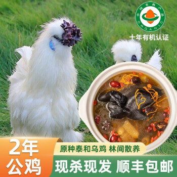 西菖凤翔正宗泰和白凤乌鸡 生鲜农家纯种散养土鸡老母鸡鲜活现杀800g 2年公鸡