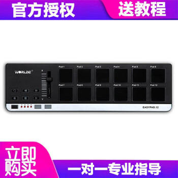 Worlde 25键midi便携键盘打击垫键盘电音DJ控制器力度感应键盘MIDI便携编曲键盘 EASYPAD12打击垫