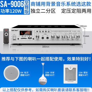 先科（SAST）SA-9010功放机家用蓝牙功放器专业大功率定压定阻分区 SA-9006至尊版【120W】