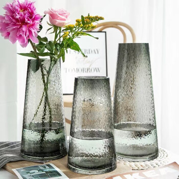 橡树庄园ins风高款玻璃花瓶透纹水培客厅餐桌插花摆件家居装饰品 透明花瓶 小号