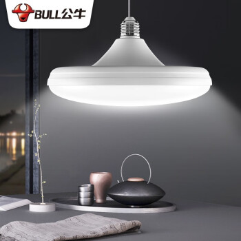 公牛（BULL） LED碟形灯螺旋螺口白光节能灯天花板吊顶卧室客厅厨房装饰灯E27螺口白光6500K 20W