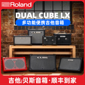 Roland罗兰BOSS电吉他音箱DUAL CUBE LX桌面音响 DUAL CUBE LX