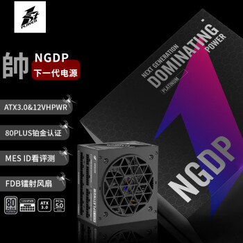 首席玩家（1st player）NGDP铂金 1000W ATX3.0电源（MES ID/压纹线/PCIe5.0/FDB风扇/支持4090）