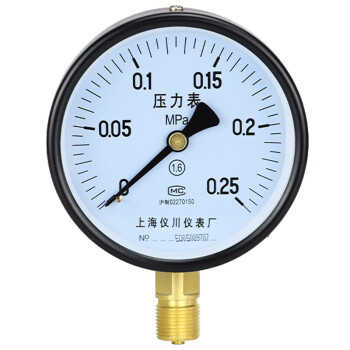 SYCIF Y-100 径向压力表指针式高精度水压油压气压表 0-0.25MPa（2.5公斤）