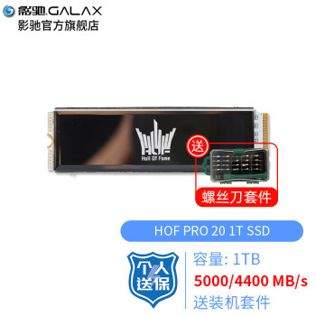 影驰 （Galaxy）HOF名人堂 SSD固态硬盘 M.2接口NVMe协议 PCI-E4.0硬盘 HOF PRO 20 M.2 1T