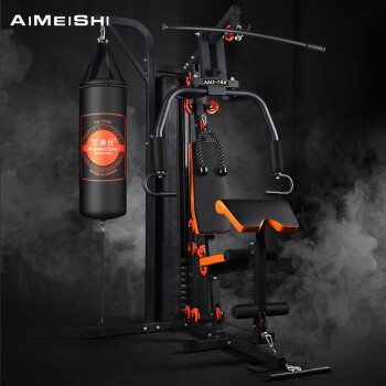 艾美仕（AiMeiShi）综合训练器家用商用健身器材运动力量器械 二人站【包上楼安装】