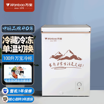万宝（Wanbao）100升冷藏冷冻转换冷柜 单温节能迷你小冰柜家用线下冰箱 BC/BD-100DE