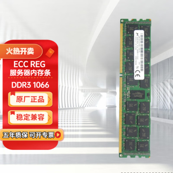 镁光DDR3 ECC RDIMM 英睿达（crucial） REG双路服务器内存条 DDR3 1066 REG 8G