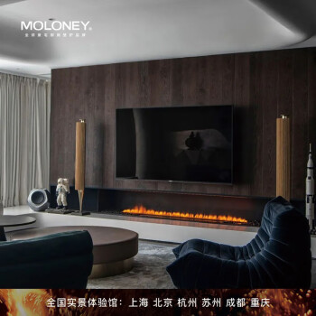 莫洛尼（moloney）MOLONEY莫洛尼VIEW嵌入式雾化壁炉电子仿真火焰高端装饰背景墙220 220P奢华面板尺寸:2200*270*3 mm