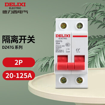 德力西电气小型隔离开关模数化总开关DZ47G2P 20/32/63/100/125A断路器 2P 20A DZ47G220