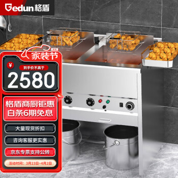 格盾（gedun）电炸炉商用油炸锅小吃炸鸡薯条油条炸串电炸锅 单杠定时款50L TB-L23
