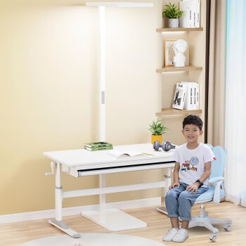 爱学习（istudy）儿童学习桌椅家用儿童书桌升降写字桌青年写字桌实木电脑桌 F100A+C19S粉色