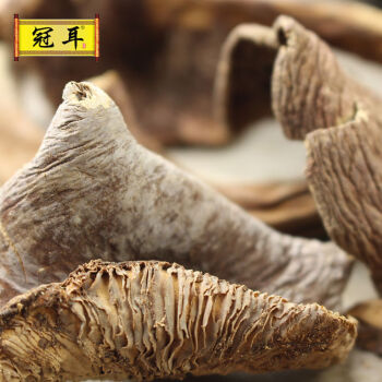 冠耳新鲜奶浆菌干货云南土特产家用香菇蘑菇质脆味美食用菌菇100g 100g