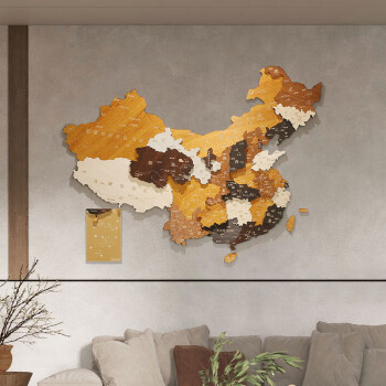 室内（Snnei）木质中国地图拼接墙面装饰3D餐厅公司客厅沙发背景墙壁挂饰装饰画