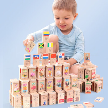 巧之木（QZM） 木制多米诺骨牌儿童早教玩具男女孩数字双面认字动物海洋积木 200片多米诺骨牌