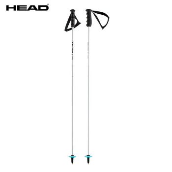 海德（HEAD）滑雪板双板 男女款专业竞技碳纤维雪杖World Cup Carbon直杖 World Cup Carbon 105cm