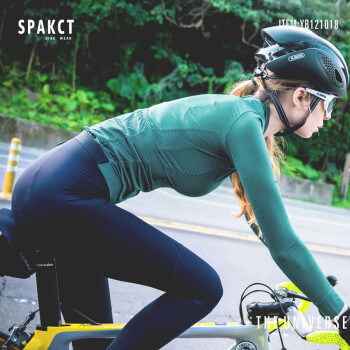 思帕客SPAKCT 春夏长袖骑行服女凉感透气上衣自行车装备YB121018乾坤 女子上衣（军绿色） 2XL