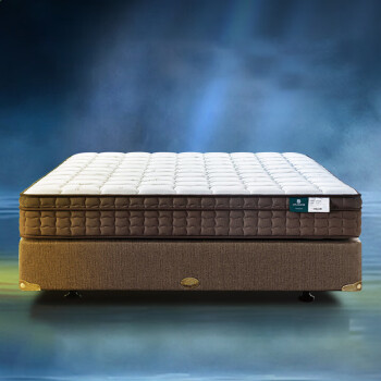 雅兰乳胶床垫软硬舒适席梦思1.5米Smart智尊弹簧床垫 深睡智 深睡智尊版 1500mm*1900mm