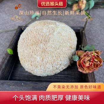 一刘三张猴头菇 食用菌菇新鲜干货 优质无硫菌菇煲汤食材 50g/包 猴头菇 1包（50g）
