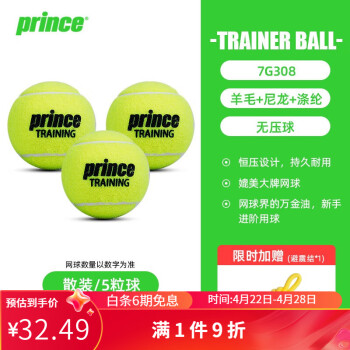 Prince网球Training成人训练网球整袋散装耐磨耐打 7G308王子网球5个+避震结