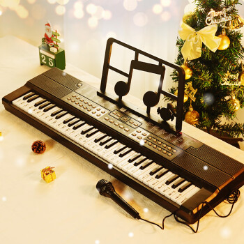 俏娃宝贝（QIAO WA BAO BEI）儿童玩具电子琴小钢琴宝宝益智玩具男孩女孩乐器生日礼物61儿童节