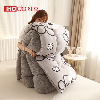 红豆家纺被子冬棉被加厚秋冬被芯羊羔绒珊瑚绒毛毯被春秋学生宿舍家用 墨丽 150x200cm【3斤】