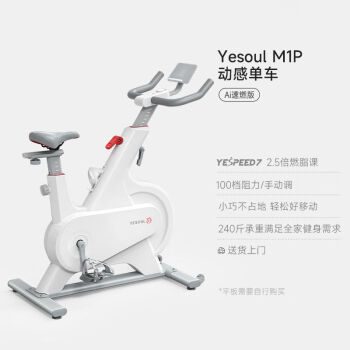 野小兽（YESOUL）智能动感单车家用运动磁控健身自行车室内减肥器材静音Mini M1P-速燃环-蓝牙版