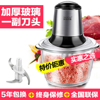 汉佳欧斯（HanJiaOurs）家用绞肉机料理机小型电动搅馅切菜碎肉机 银色【玻璃碗】