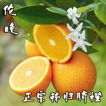 二龙嶂正宗现摘新鲜脐橙新鲜伦晚脐橙当季水果礼盒10斤皮薄多汁节日团购 【赣南脐橙】净重9斤（18-26个）