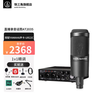 铁三角（Audio-technica） AT2035电容麦克风全电脑K歌主播 直播录音话筒专业设备 YAMAHA声卡UR22C
