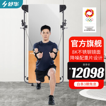 舒华（SHUA）综合训练器家用力量站壁挂式拉绳训练器多功能健身器材SH-G699 健身镜训练器【引体向上支架】