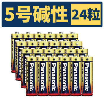 爱国者（aigo）松下电池5号碱性电池1.5V7号五号七号干电池适用指纹锁儿童玩具鼠 5.号24粒