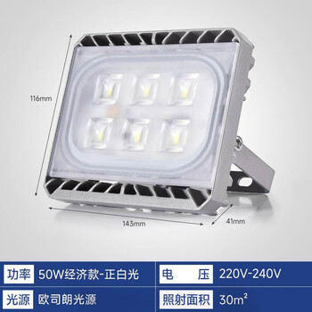 海阁拉斯led投光灯泛光灯50W100W篮球场室外照明灯户外防水投射灯 50W经济款 一头 欧司朗灯珠/正白