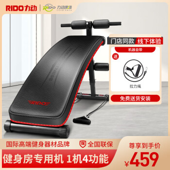力动（RIDO） 仰卧板健腹板腹肌板家用仰卧起坐器健身器材TD20 升级版TD20 插销式