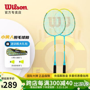威尔胜（Wilson）羽毛球拍小黄人联名款 成人合金对拍 【成人对拍】WR105610F2