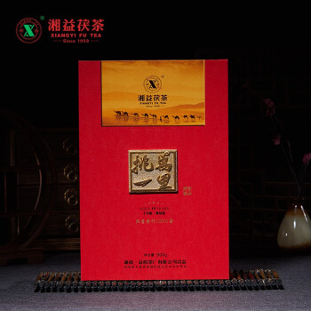 湘益（XIANGYI） 湘益茯茶2022年万里挑一 900g金花茯砖茶益阳茶厂