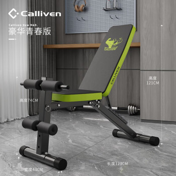 CALLIVEN家用哑铃凳卧推健身椅器材仰卧起坐辅助器飞鸟可折叠多功能健身凳 豪华版