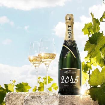 酩悦香槟法国原瓶进口2015年份 酩悦年份香槟气泡起泡酒moet champagn 2015年份