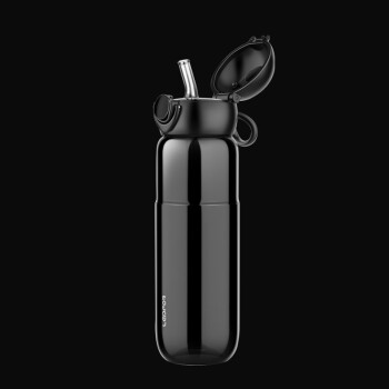 雷德夫（LEIDFOR）tritan带吸管运动水杯 便携男生儿童直饮水壶 中秋礼品礼物 吸管款-魅力黑630ml