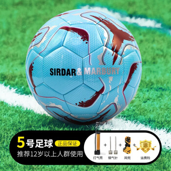 萨达足球儿童5号球世界杯成人比赛标准青少年小学生训练专用4号球四号 【Y型款】-蓝色5号