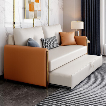 布雅迪年度新款科技布沙发床小户型网红款多功能抽拉式双人可折叠沙发床 海绵款【科技布】 外径1.12米