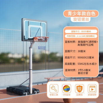 领跑虎（Lingpaohu）儿童篮球架户外成人篮球框室内外移动升降便携式家用篮筐投篮架 青少年款8-16岁【5号球+气筒】